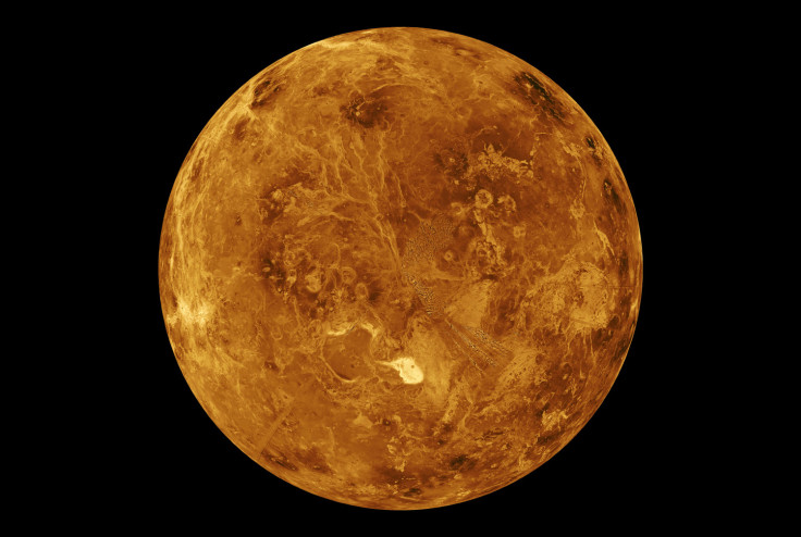 Venus 