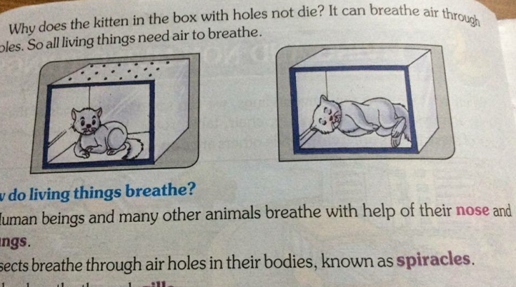 Kill a cat textbook