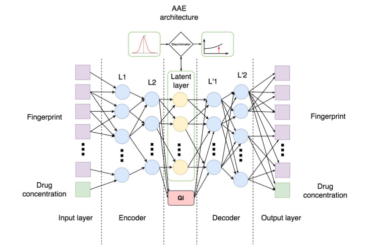 How the neural network processes understands drugs