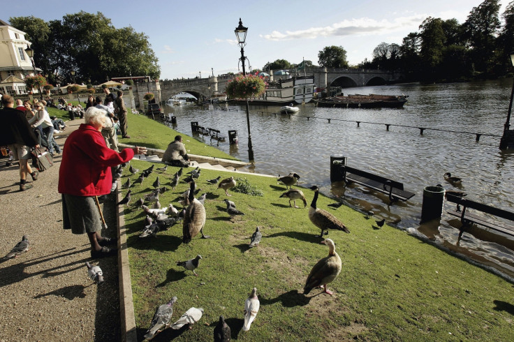 richmond riverside