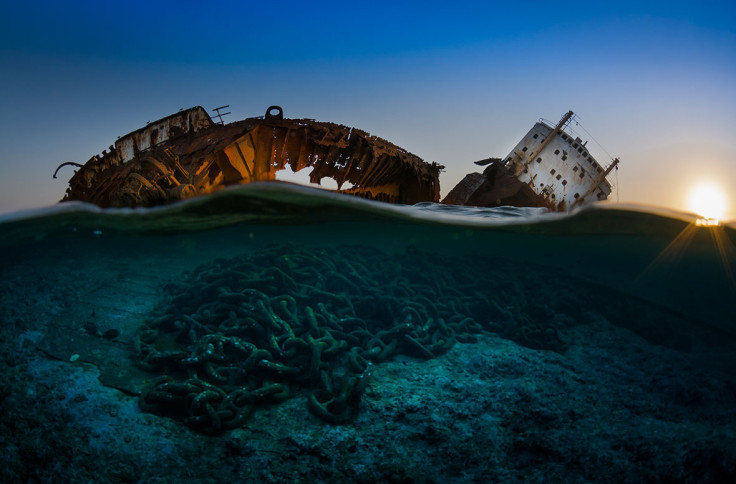 Underwater Photographer of the Year 2017