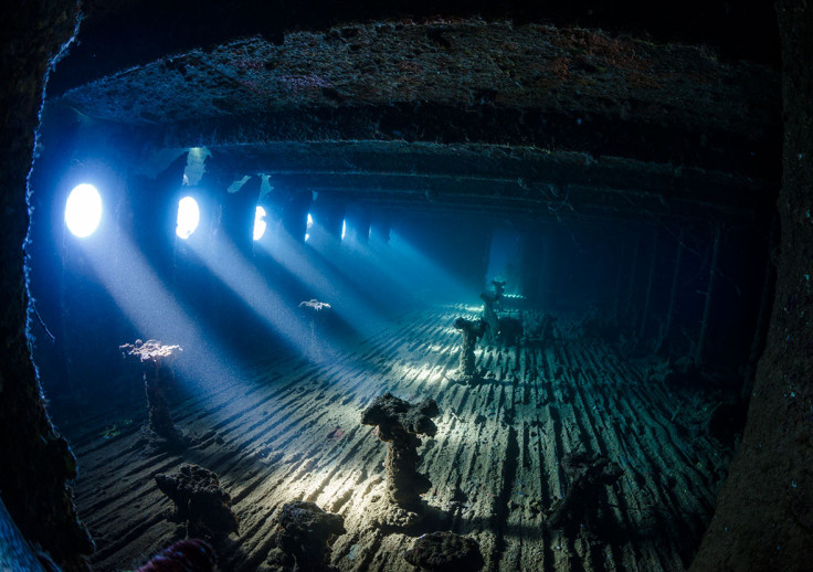 Underwater Photographer of the Year 2017