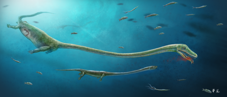 Dinocephalosaurus 