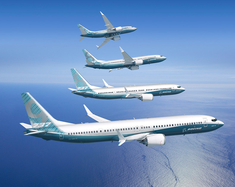 The Boeing 737 MAX family of aeroplanes