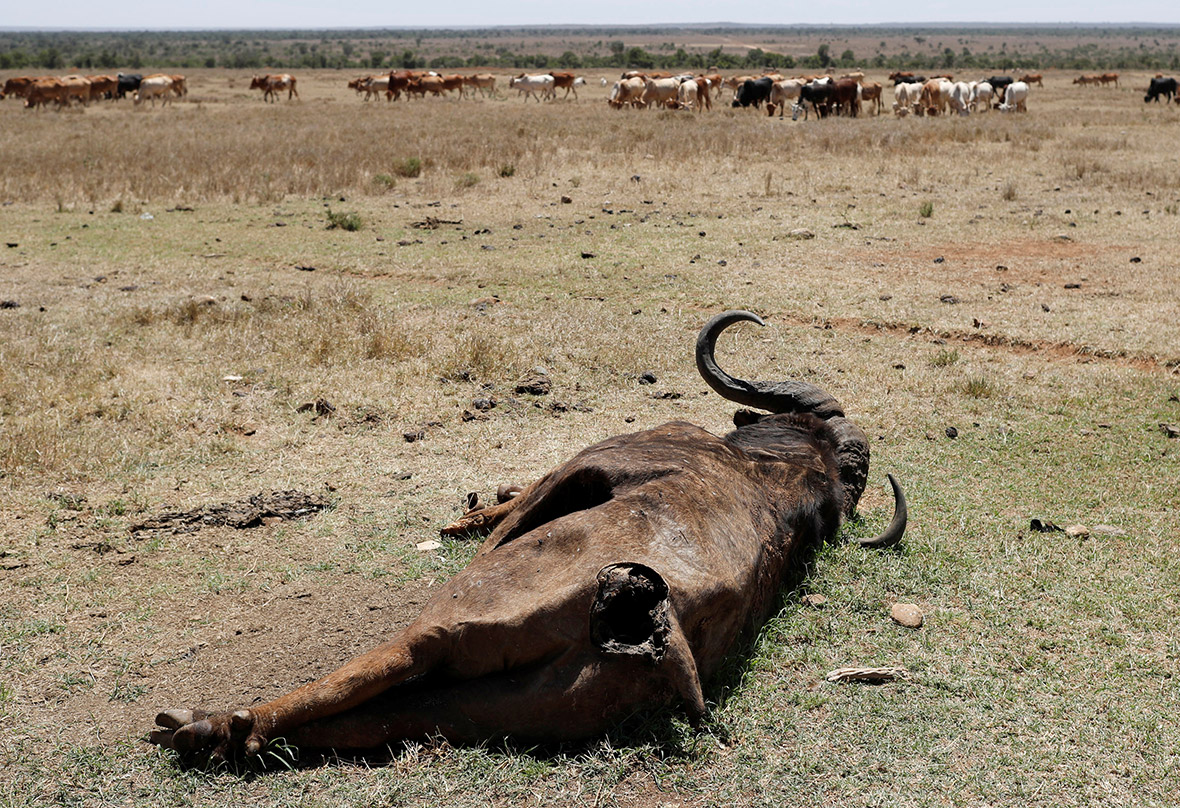 Kenya drought