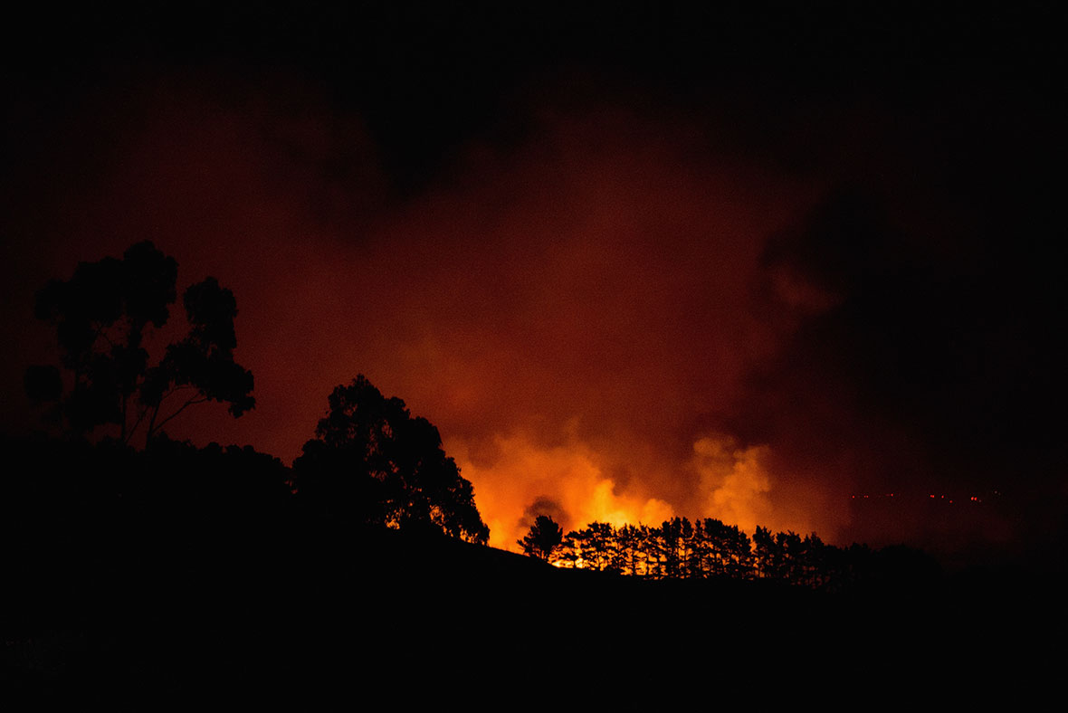 Christchurch wildfires