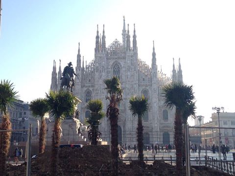 Palme in Piazza del Duomo