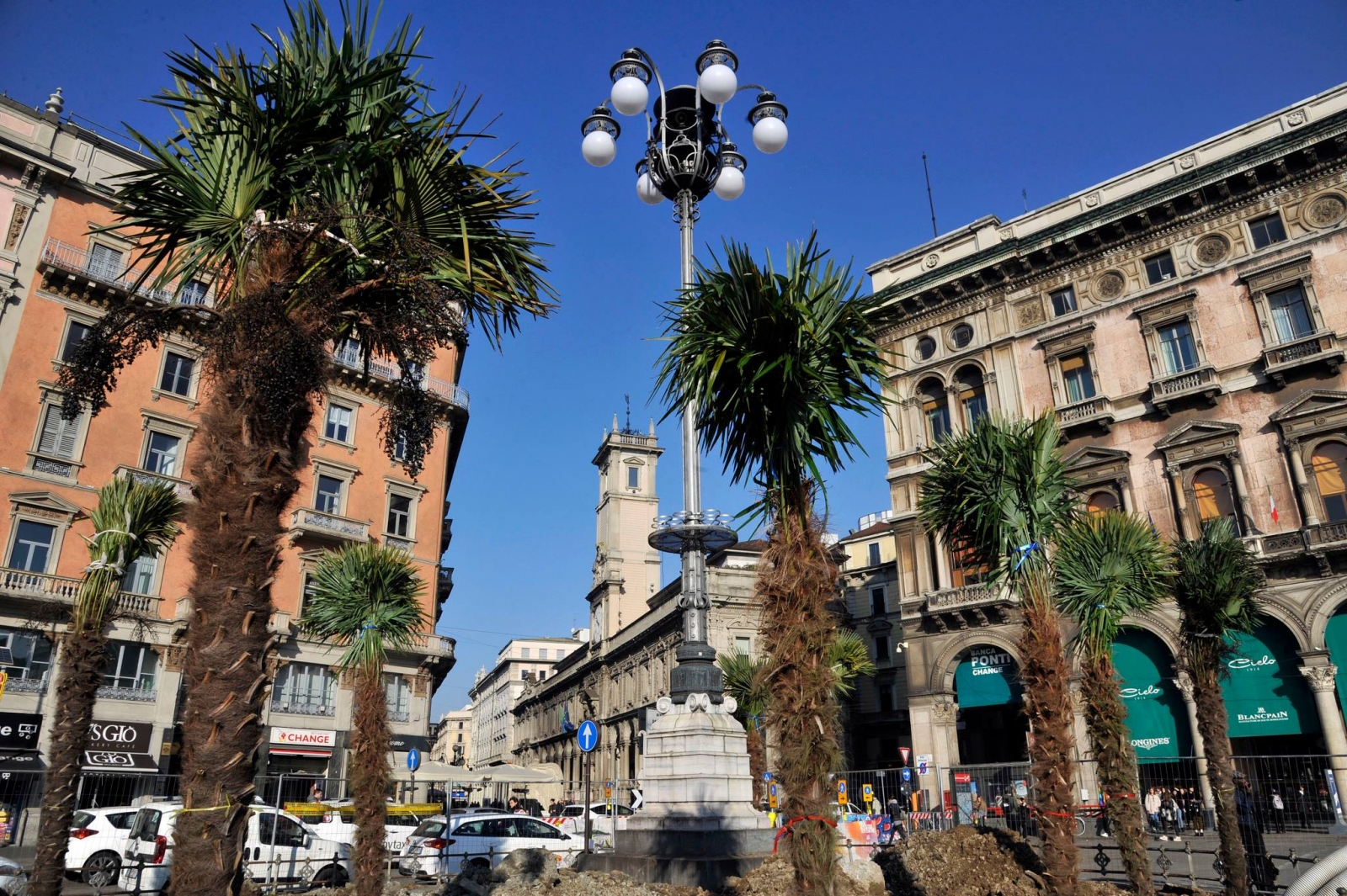 Palme in Piazza del Duomo