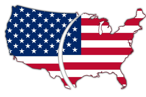 Divided USA flag map