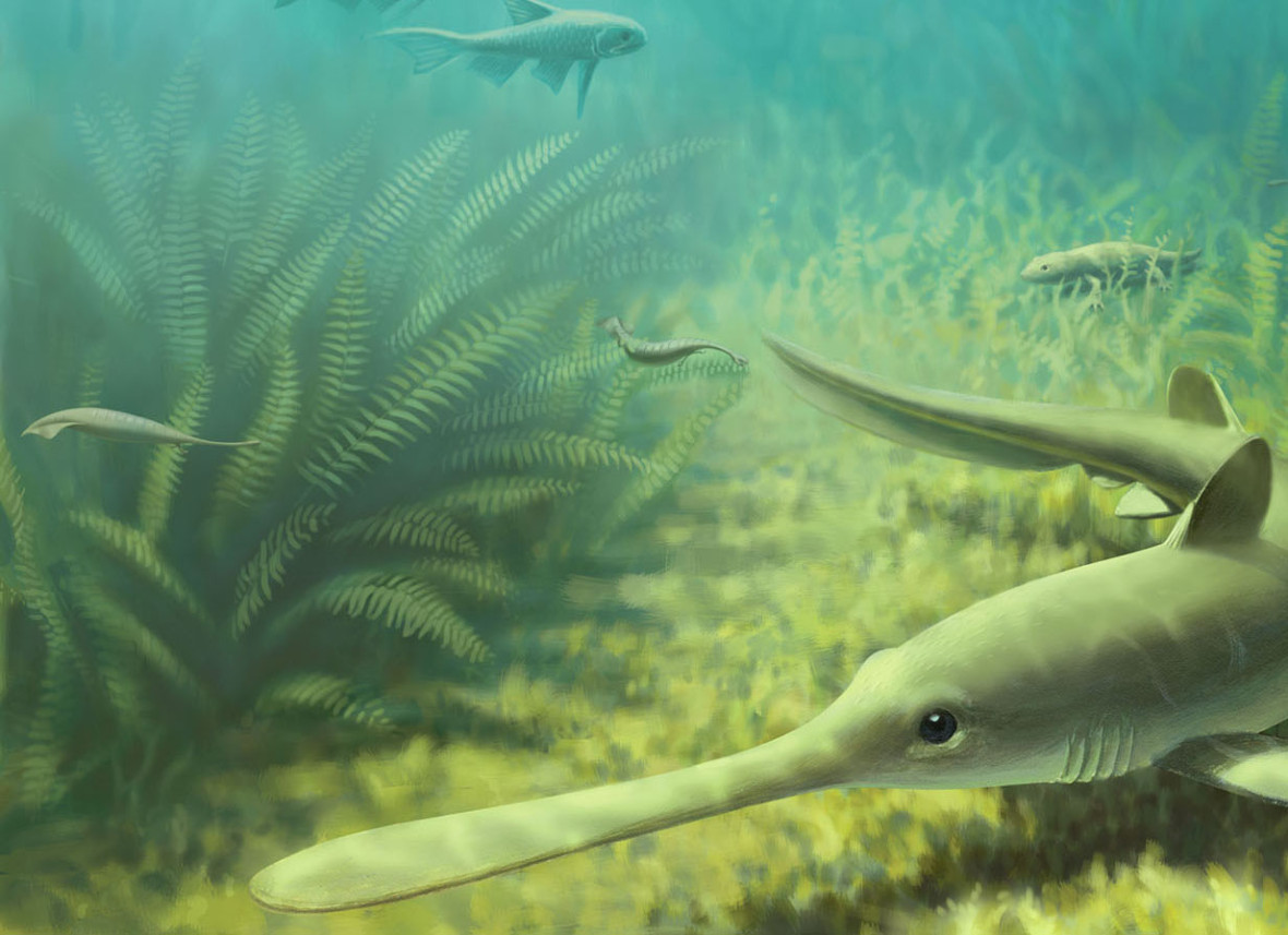 tully monster tully monster