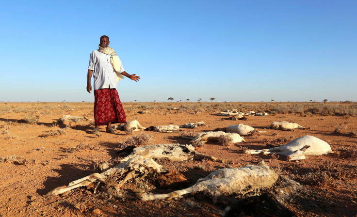 Somalia drought