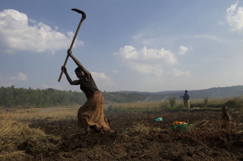 Agriculture in Burundi