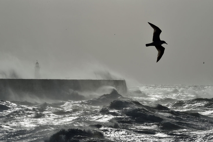 Storm Doris