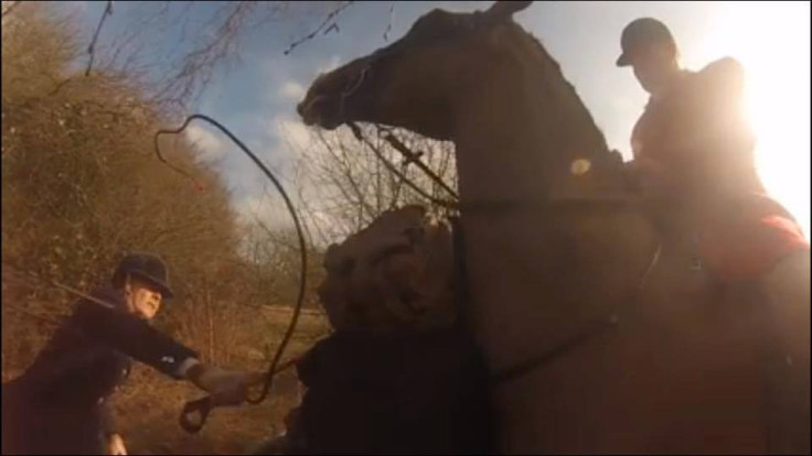 Guildford Hunt Saboteurs 