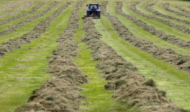 Farmer