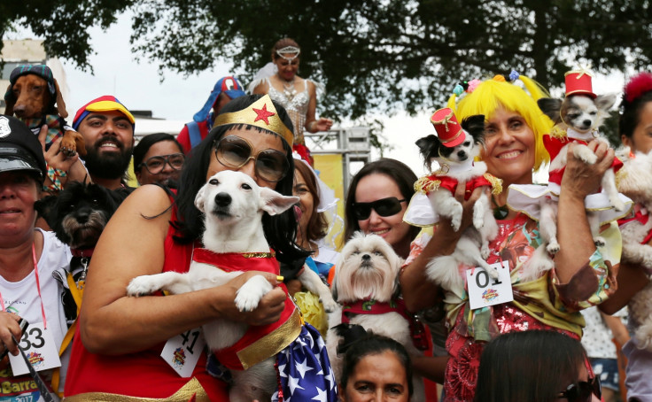 Dog lovers take time to dress their beloved pooches in special costumes