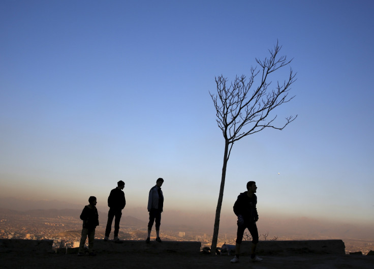 Afghan Taliban trees