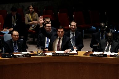 un security council vetoes