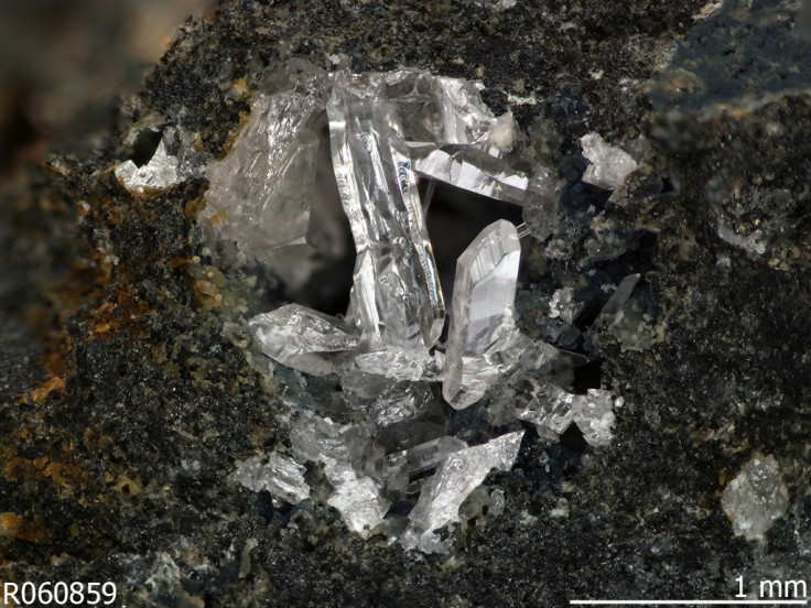 Fiedlerite