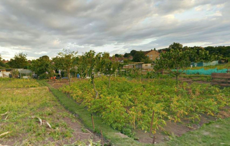 colindale allotment