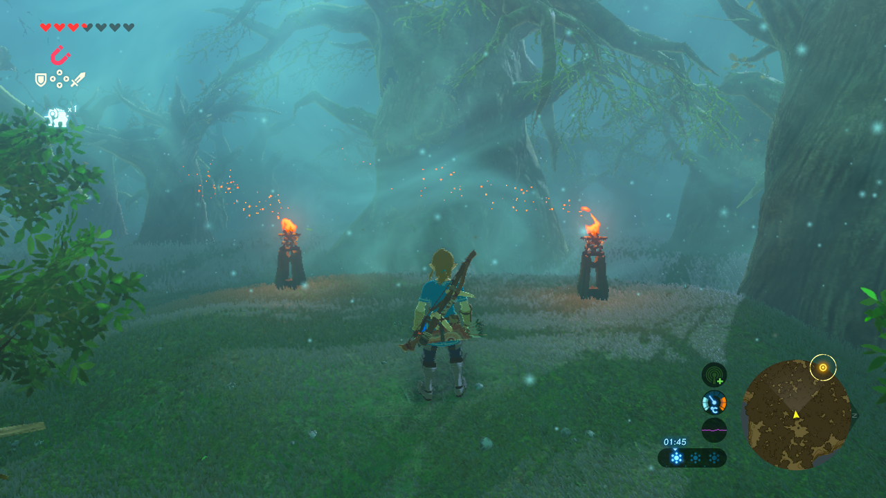 Breath of the Wild Lost Forest