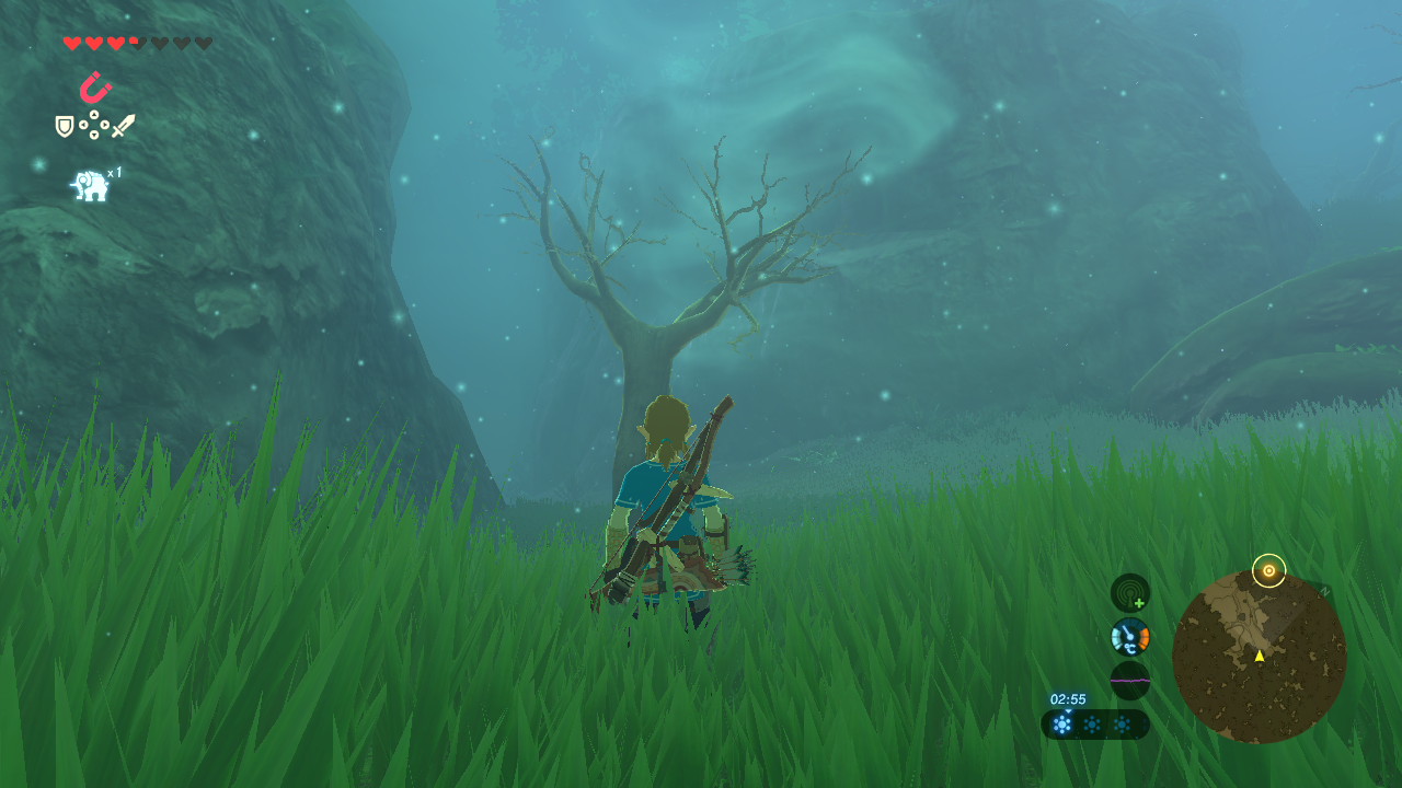 Breath of the Wild Lost Forest