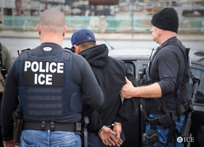Palantir provides 'mission critical' software to ICE to further Trump admin deportations – report