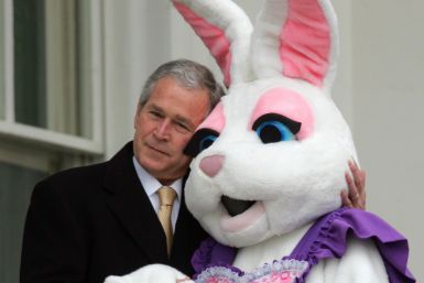 Spicer Bush Easter Bunny