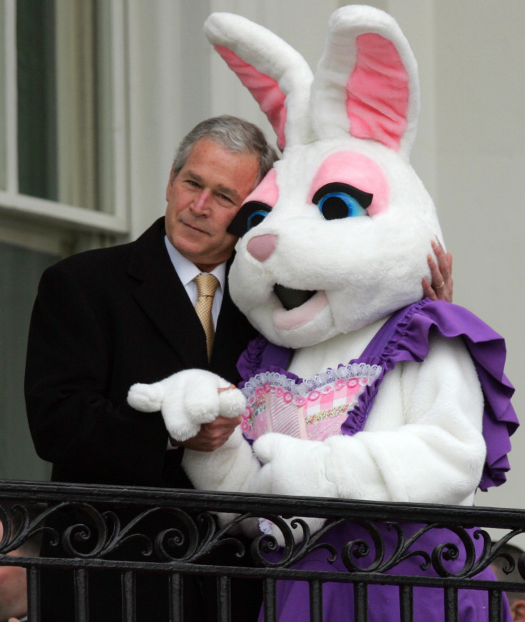 Spicer Bush Easter Bunny