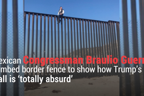Mexican Congressman Climbed Border Fence To Show How Trump's Wall Is Absurd