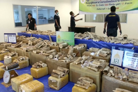 Thai authorities seize more than 300kg of smuggled ivory