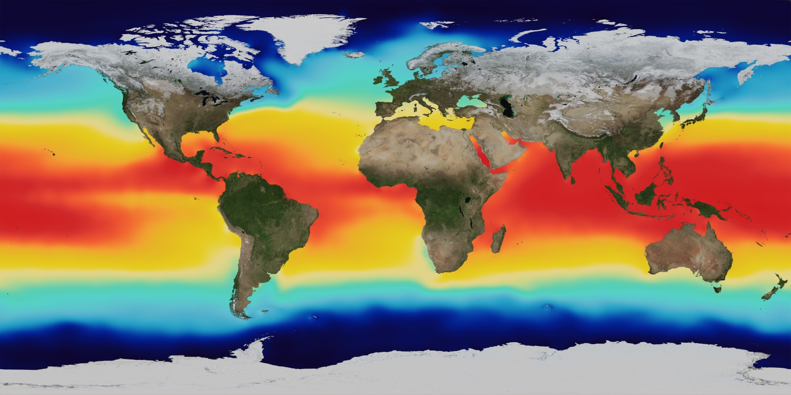 Almost 90 of the world's oceans will be hotter and more acidic by 2050