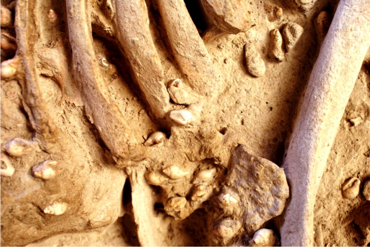 Neolithic grave Neolithic grave