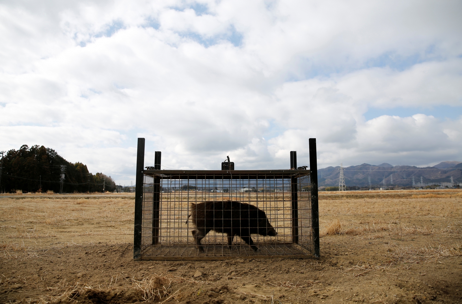 Return to Fukushima exclusion zone Namie tsunami