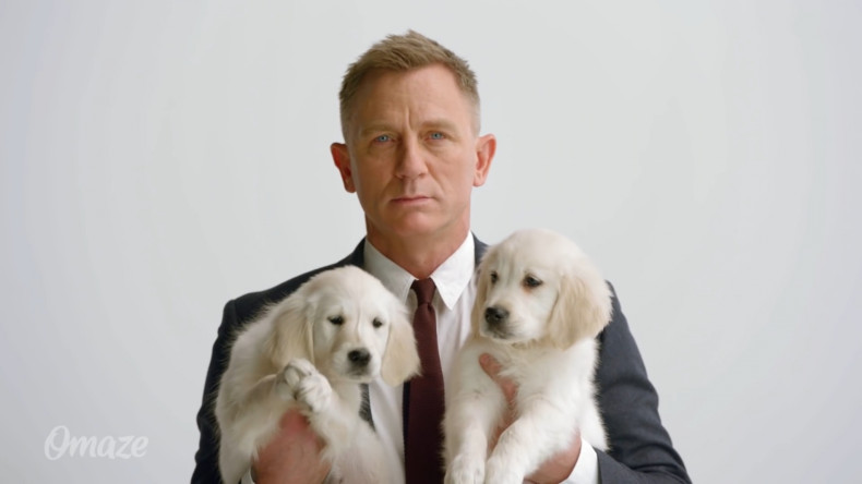 James Bond, puppies and an Aston Martin: Daniel Craig appears in latest Omaze campaign