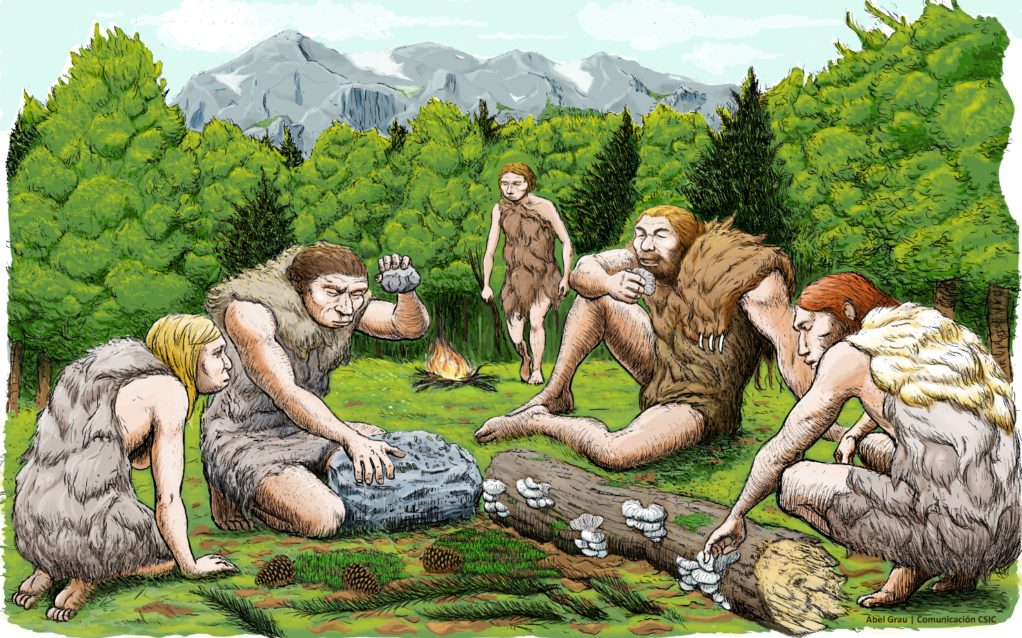 Neanderthals