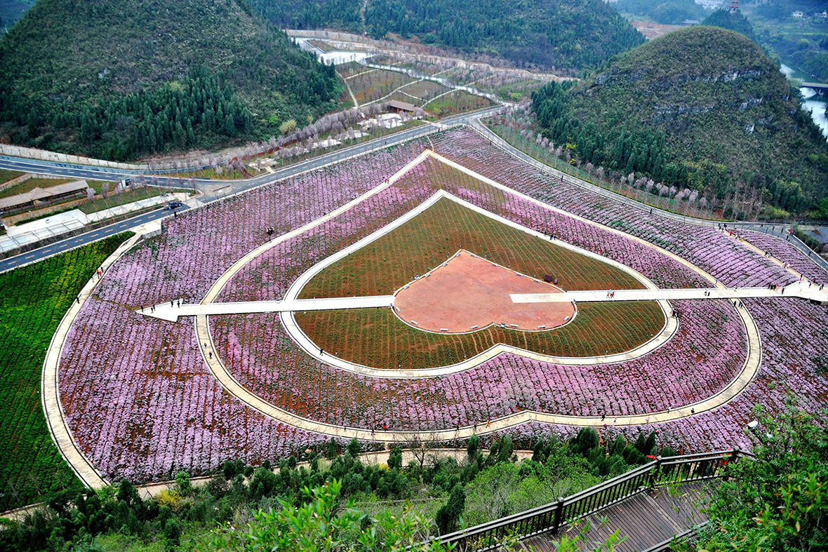 Flower park, China