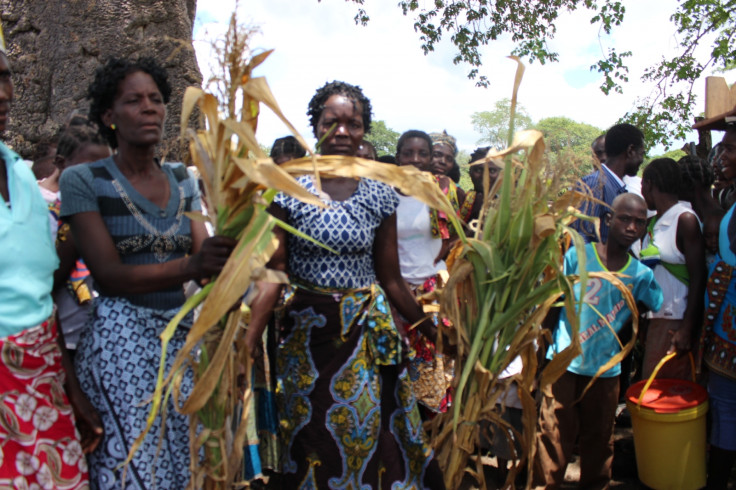 Drought in Mozambique 