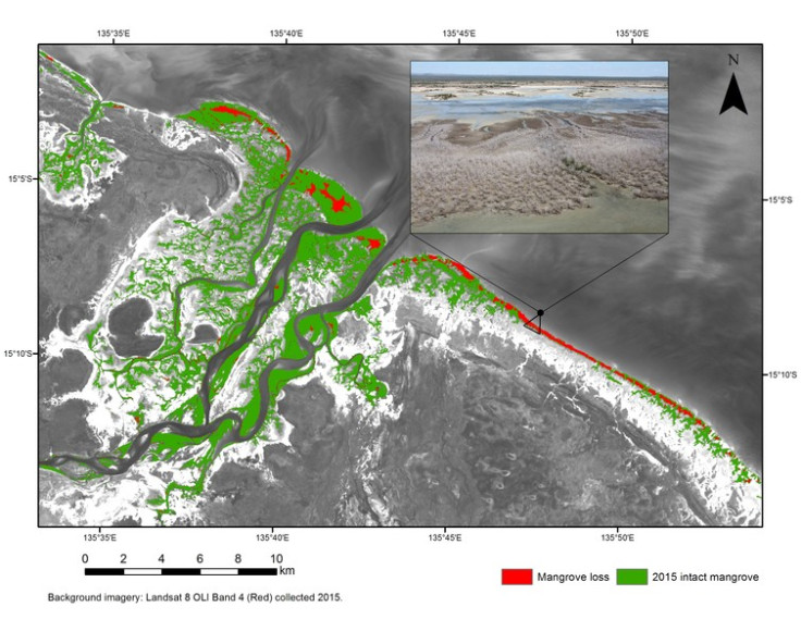 Mangroves losses