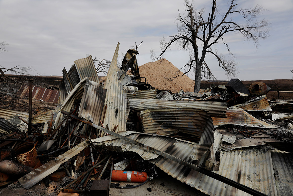 US wildfires 