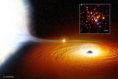 Star orbiting black hole