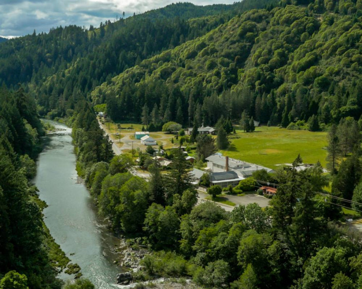 Tiller town Oregon for sale