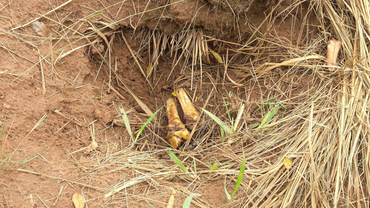 Mass grave in Kasai Central