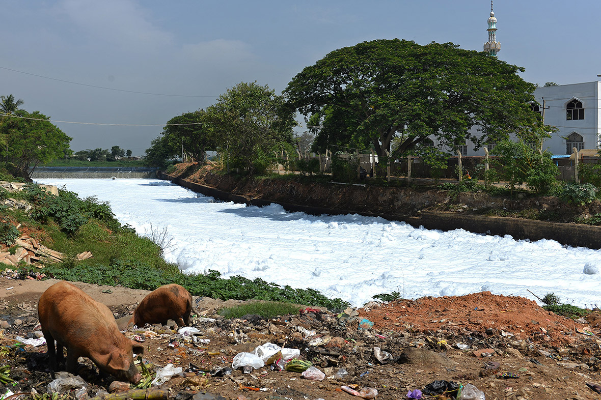 World Water Day 2017