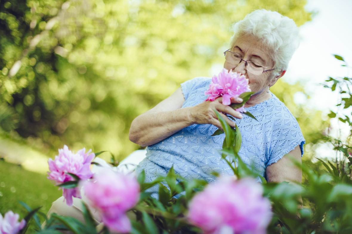 Smelling flower Smelling flower