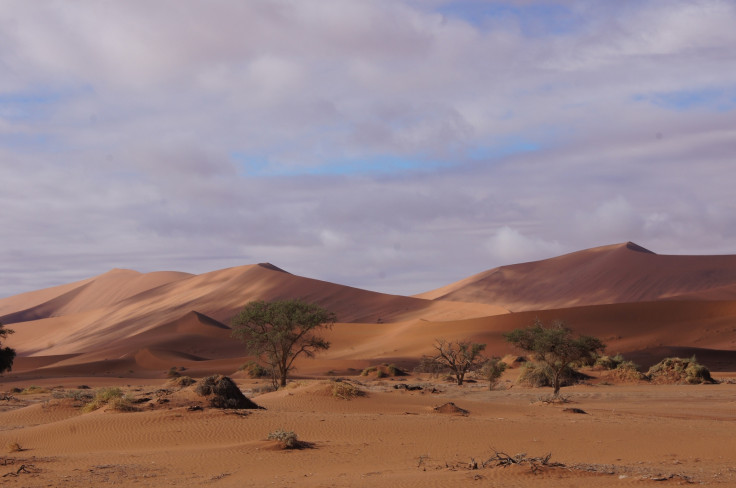 desert water