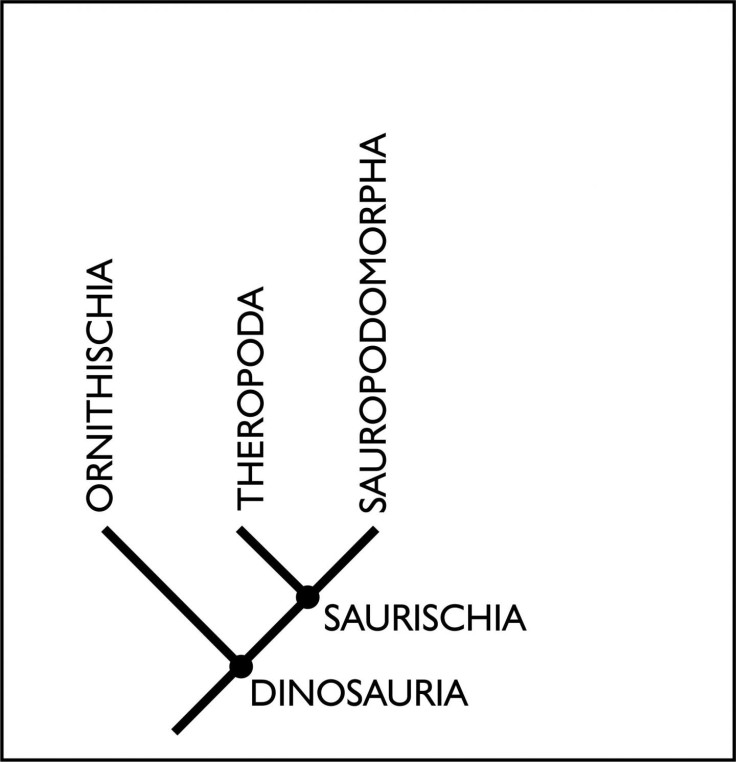 Old family tree