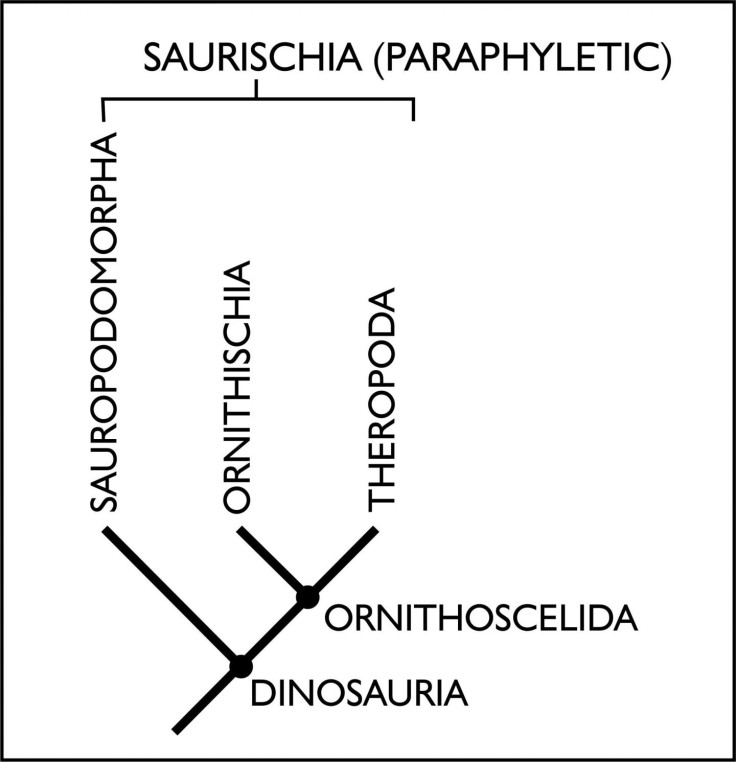 New family tree