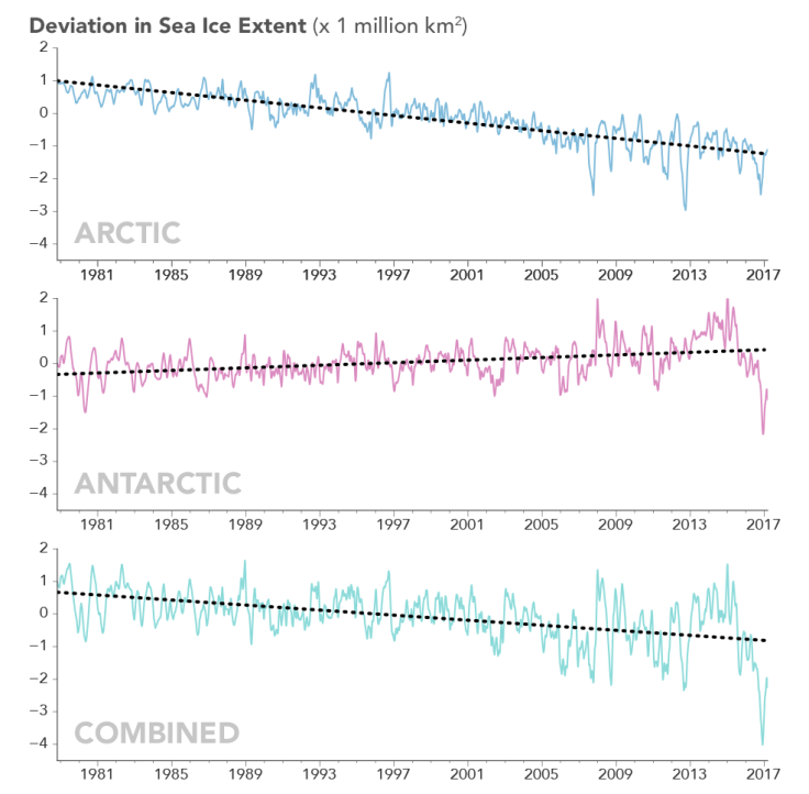 Sea ice