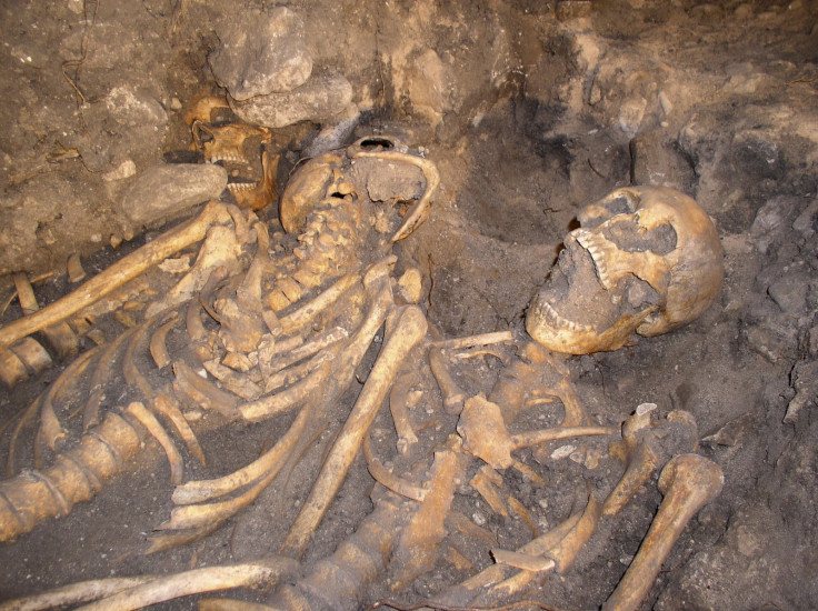 Battle of Towton skeleton